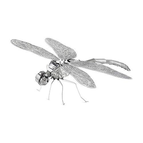 Fascinations: Dragonfly