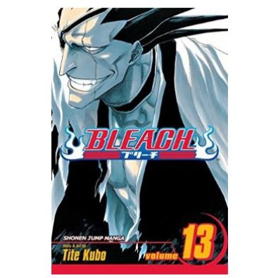 Bleach Vol. 13 Bleach Vol. 13