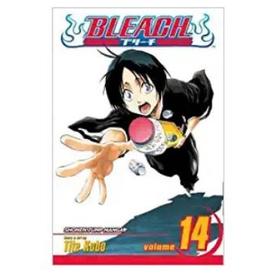 Bleach Vol. 14 Bleach Vol. 14