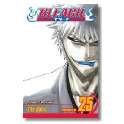Bleach Vol. 25 Bleach Vol. 25