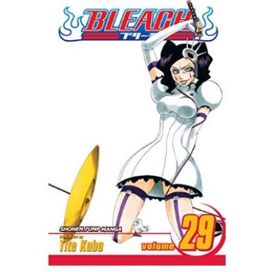 Bleach Vol. 29 Bleach Vol. 29