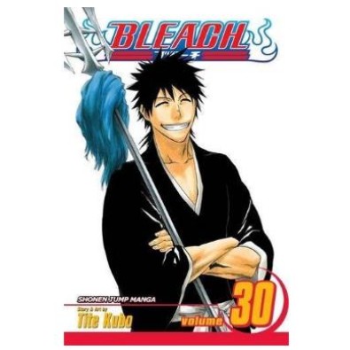Bleach Vol. 30 Bleach Vol. 30