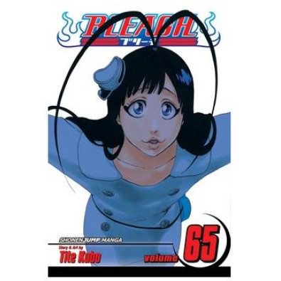 Bleach Vol. 65 Bleach Vol. 65