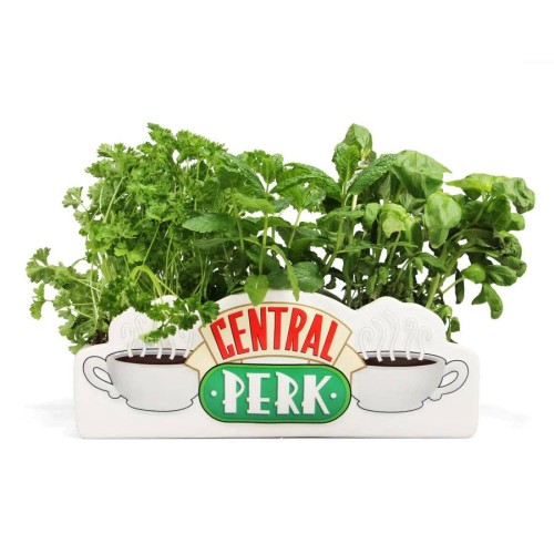 Friends Table Vase Central Perk