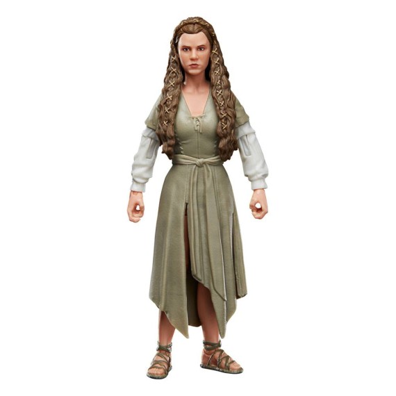 Star Wars Episode VI Black Series Action Figure 2022 Princess Leia (Ewok Village) 15 cm