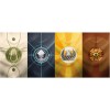 Anachrony: Essential Edition