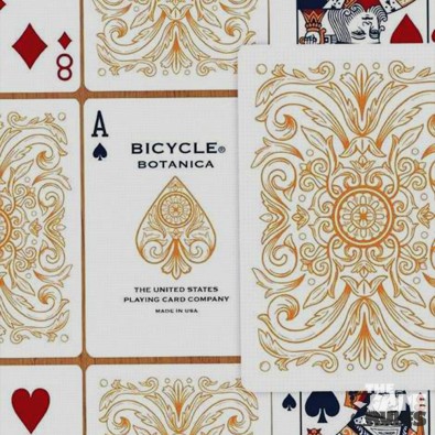 Bicycle Botannica Bicycle Botannica