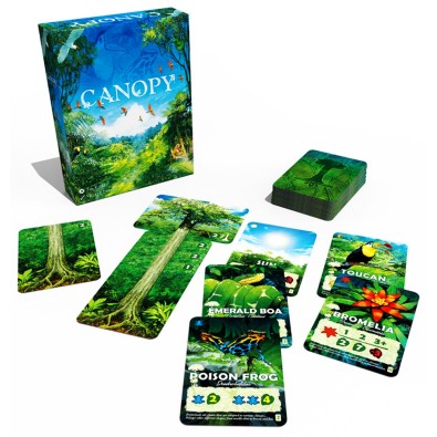 Canopy Canopy