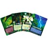 Canopy