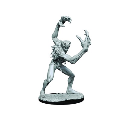 Critical Role Unpainted Miniatures: Aeorian Nullifier