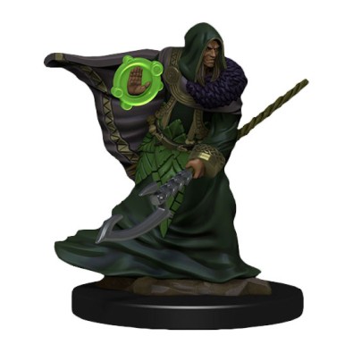 D&D Icons of the Realms Premium Figures: Elf Druid Male