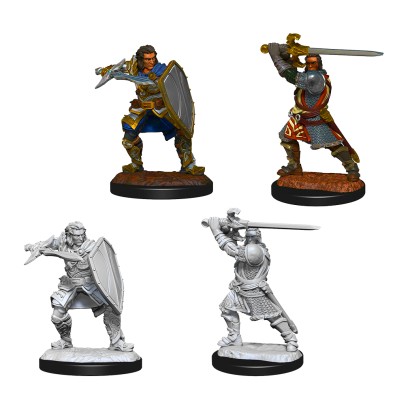 D&D Nolzur's Marvelous Miniatures: Human Paladin Male D&D Nolzur's Marvelous Miniatures: Human Paladin Male