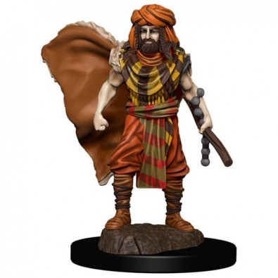 D&D Icons of the Realms: Premium Painted Figure - Human Druid Male D&D Icons of the Realms: Premium Painted Figure - Human Druid Male