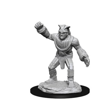 D&D Nolzur's Marvelous Miniatures - Stone Golem