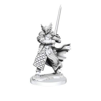 D&D Frameworks: Dragonborn Paladin Male   D&D Frameworks: Dragonborn Paladin Male