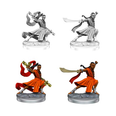 D&D Frameworks: Elf Monk Male D&D Frameworks: Elf Monk Male