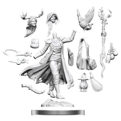 D&D Frameworks: Human Druid Female