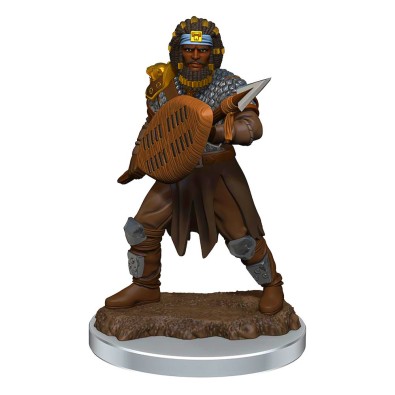 D&D Icons of the Realms Premium Figures: Male Human Fighter
