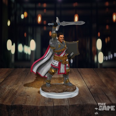 D&D Icons of the Realms Premium Figures: Male Human Paladin