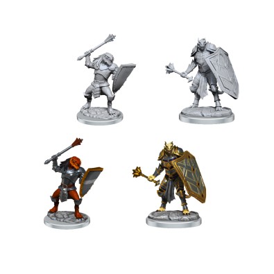 D&D Nolzur's Marvelous Miniatures: Dragonborn Clerics D&D Nolzur's Marvelous Miniatures: Dragonborn Clerics