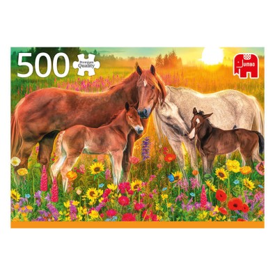 Άλογα στο Λιβάδι - Παζλ - 500 pc