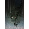 Invisible Sun: The Threshold