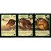 March of the Ants: Empires of the Earth (Exp)