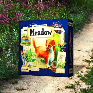 Meadow  Meadow