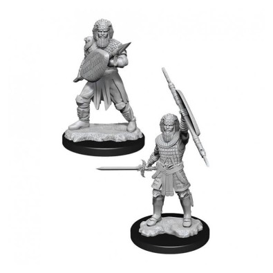 D&D Nolzur's Marvelous Miniatures - Human Fighter Male