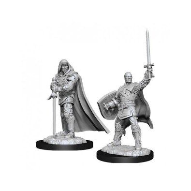 D&D Nolzur's Marvelous Miniatures - Human Paladin Male