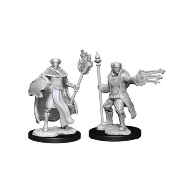 D&D Nolzur's Marvelous Miniatures - Multiclass Cleric + Wizard Male D&D Nolzur's Marvelous Miniatures - Multiclass Cleric + Wizard Male
