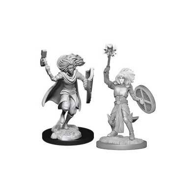 D&D Nolzur's Marvelous Miniatures: Changeling Cleric D&D Nolzur's Marvelous Miniatures: Changeling Cleric