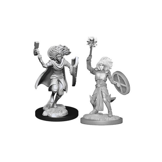 D&D Nolzur's Marvelous Miniatures: Changeling Cleric