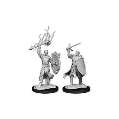 D&D Nolzur's Marvelous Miniatures: Half-Elf Paladin Male D&D Nolzur's Marvelous Miniatures: Half-Elf Paladin Male