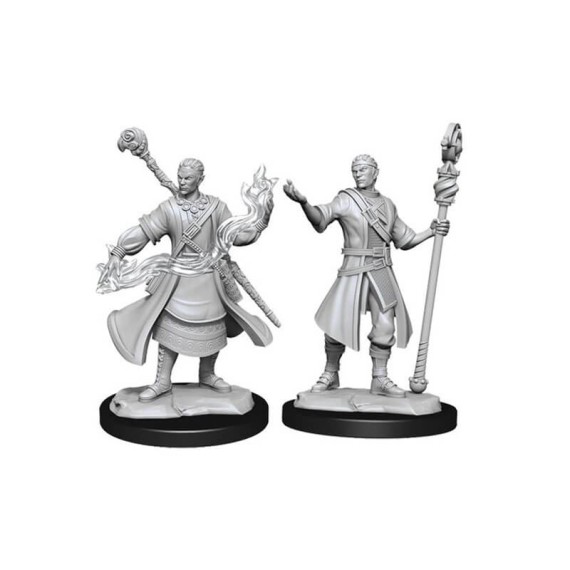 D&D Nolzur's Marvelous Miniatures: Half-Elf Wizard Male