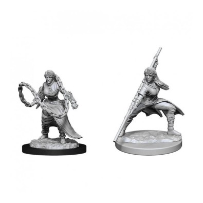 D&D Nolzur's Marvelous Miniatures: Human Monk Female D&D Nolzur's Marvelous Miniatures: Human Monk Female