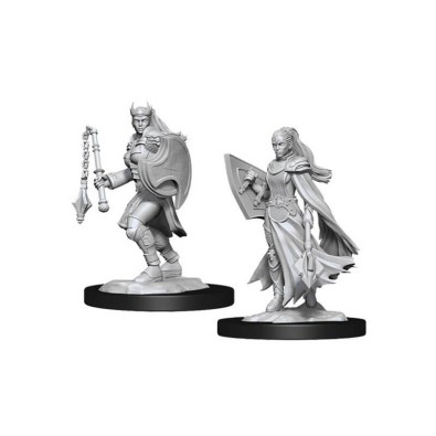 D&D Nolzur's Marvelous Miniatures: Kalashtar Cleric Female D&D Nolzur's Marvelous Miniatures: Kalashtar Cleric Female
