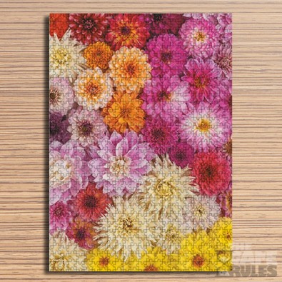 Dahlias - Παζλ - 1000pc