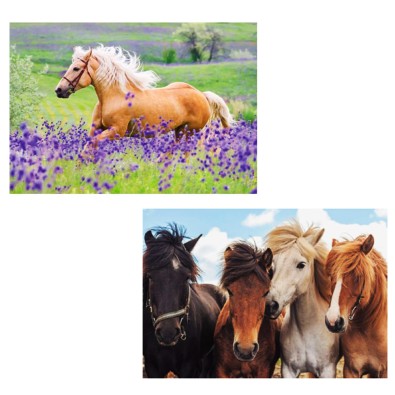 Άλογα - Παζλ - 2x24pc