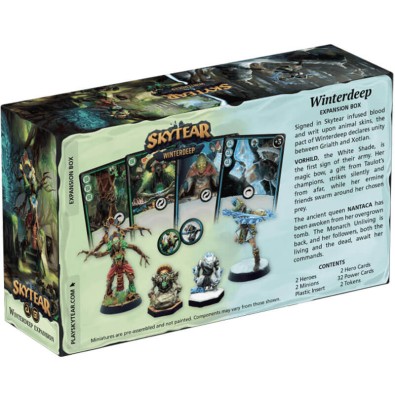 Skytear: Winterdeep (Exp)