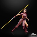 Star Wars: The Black Series - Bastila Shan