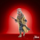 Star Wars: The Vintage Collection - Saelt-Marae