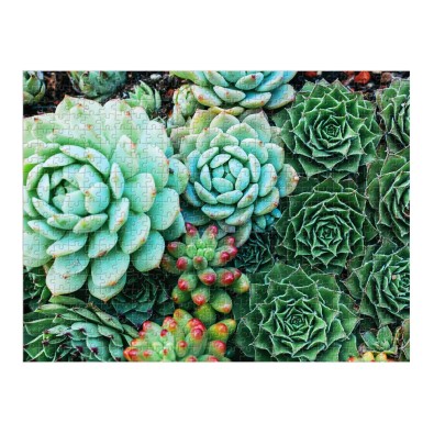 Succulent Garden - Παζλ Δύο Όψεων - 500pc Succulent Garden - Παζλ Δύο Όψεων - 500pc