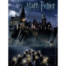 Ο Κόσμος του Harry Potter - Συλλεκτικό Παζλ - 550 pc