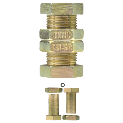 Cast Puzzle: Level 6 - Nutcase