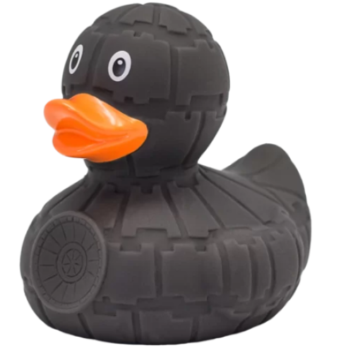 Grey Star Duck