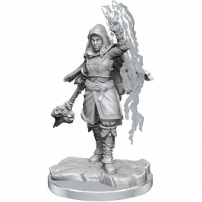 D&D Nolzur's Marvelous Miniatures: Half-Elf Warlock D&D Nolzur's Marvelous Miniatures: Half-Elf Warlock