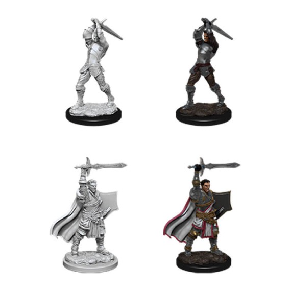 D&D Nolzur's Marvelous Miniatures - Male Human Paladin