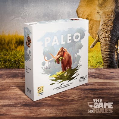 Paleo Paleo