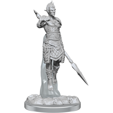 D&D Nolzur's Marvelous Miniatures: Sea Elf Fighters